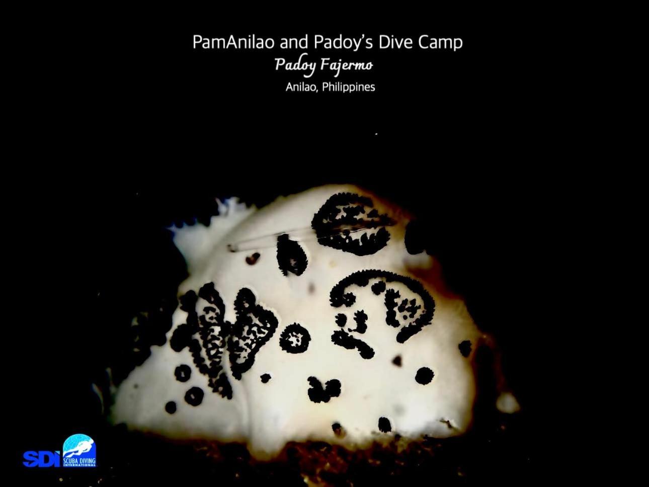 Pamanilao And Padoy'S Dive Camp Hotel Batangas Exterior photo